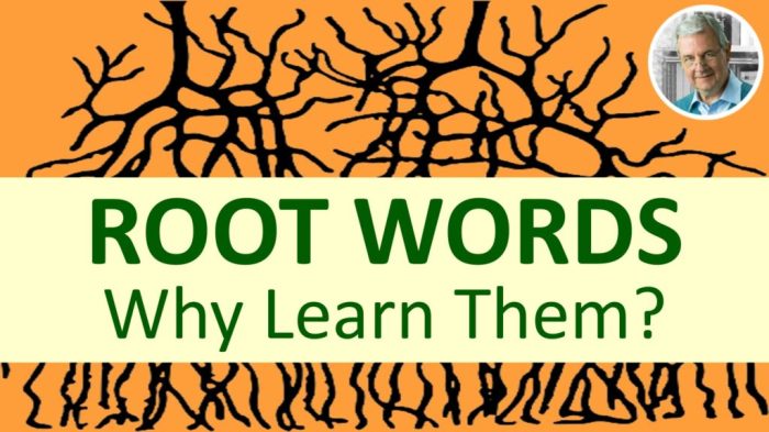 Root word latin words greek omni duc port dict bio phon mit roots auto bene mis graph gen good path