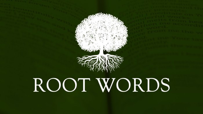 Words with the root word nov