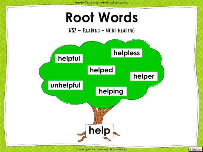 Root word grammar conjugation words
