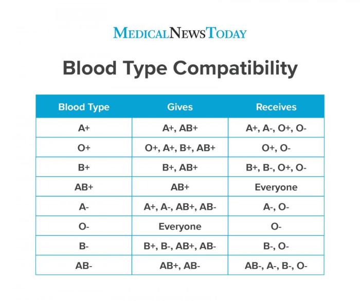 Blood typing and transfusion worksheet