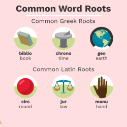 Words with the root word nov