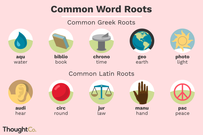 Words with the root word nov