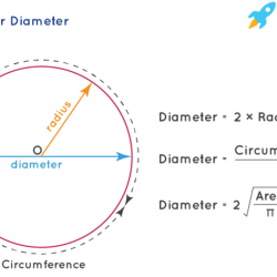 Circles answer