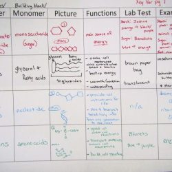 Macromolecule testing lab answer key