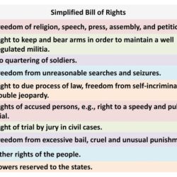 Amendment worksheet bill of rights 1-10