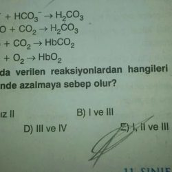 Bicarbonate system acido mcat respiratory co2 equation respiration bazic bicarbonat organismul triggering physiology uman vhy