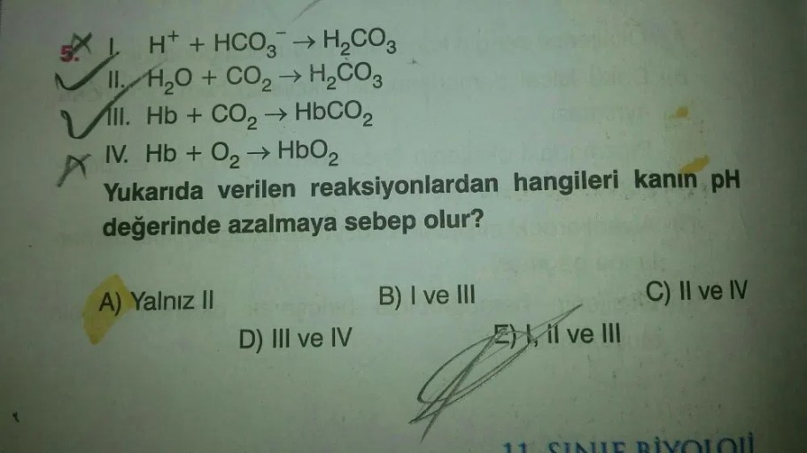 Bicarbonate system acido mcat respiratory co2 equation respiration bazic bicarbonat organismul triggering physiology uman vhy