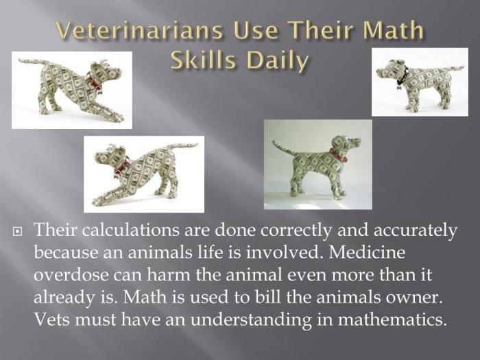 Practical math for veterinary technicians